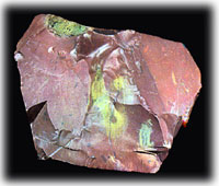 jasper