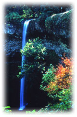 Silver Falls