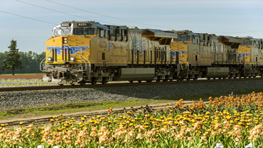 Photo of freight train running through Brooks, Oregon.