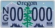 National Guard License Plate