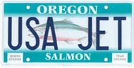 Custom Salmon License Plate