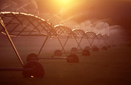 This is a photo of farm land being irrigated using a center pivot