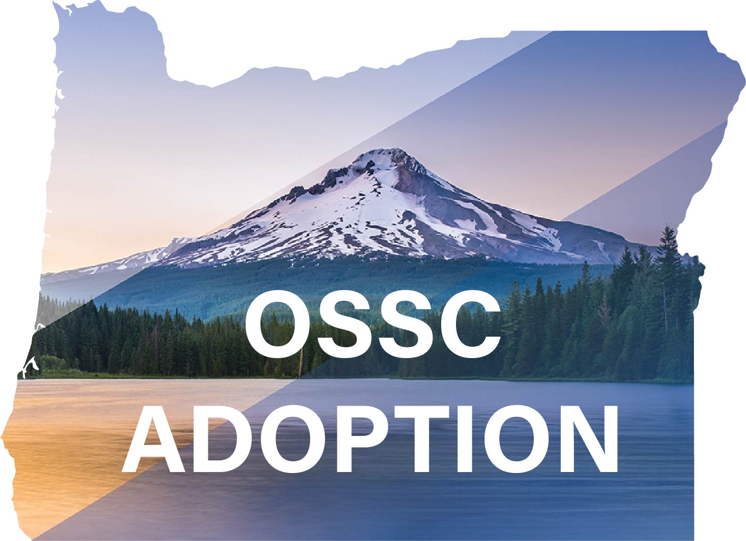 OSSC Adoption