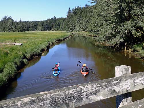 Two kayakers paddling under bridge