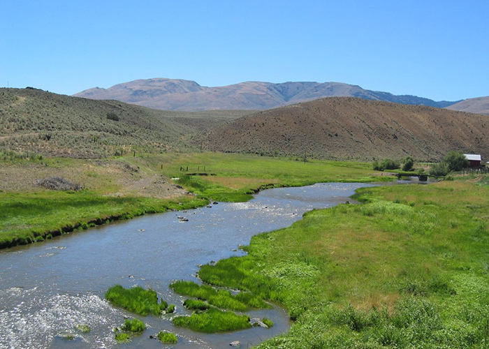 Creek babbles through backdrop of varied soil and vegetation types of Richland, Oregon, in Baker County