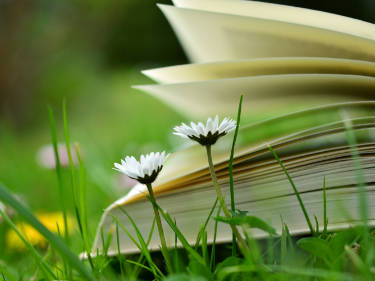 Photo of book in meadow