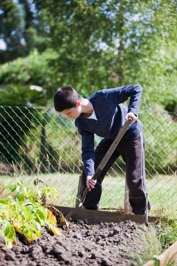Child digging a garden