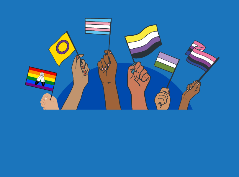 Illustration of several gender identity pride flags waving on dark blue background