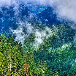 Clouds hover over southwest Oregon's forest