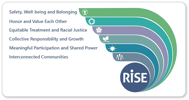 RiSE graphic showing the six core elements