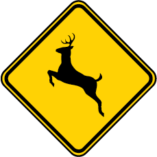 W11-3_deer_crossing_pg 11.png