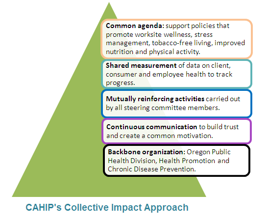Diagram of CAHIP's collective impact approach