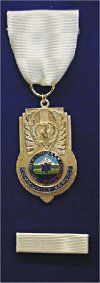 Community Service Medal