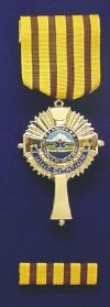 Unit Citation Medal