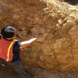 image of geologist inspecting road cut