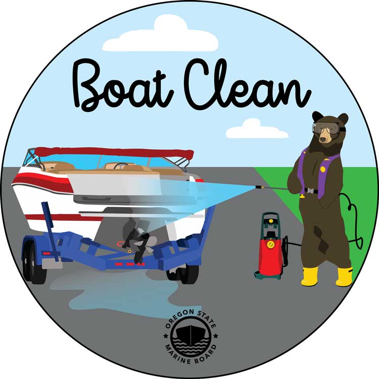 Boat Clean Bear Sticker