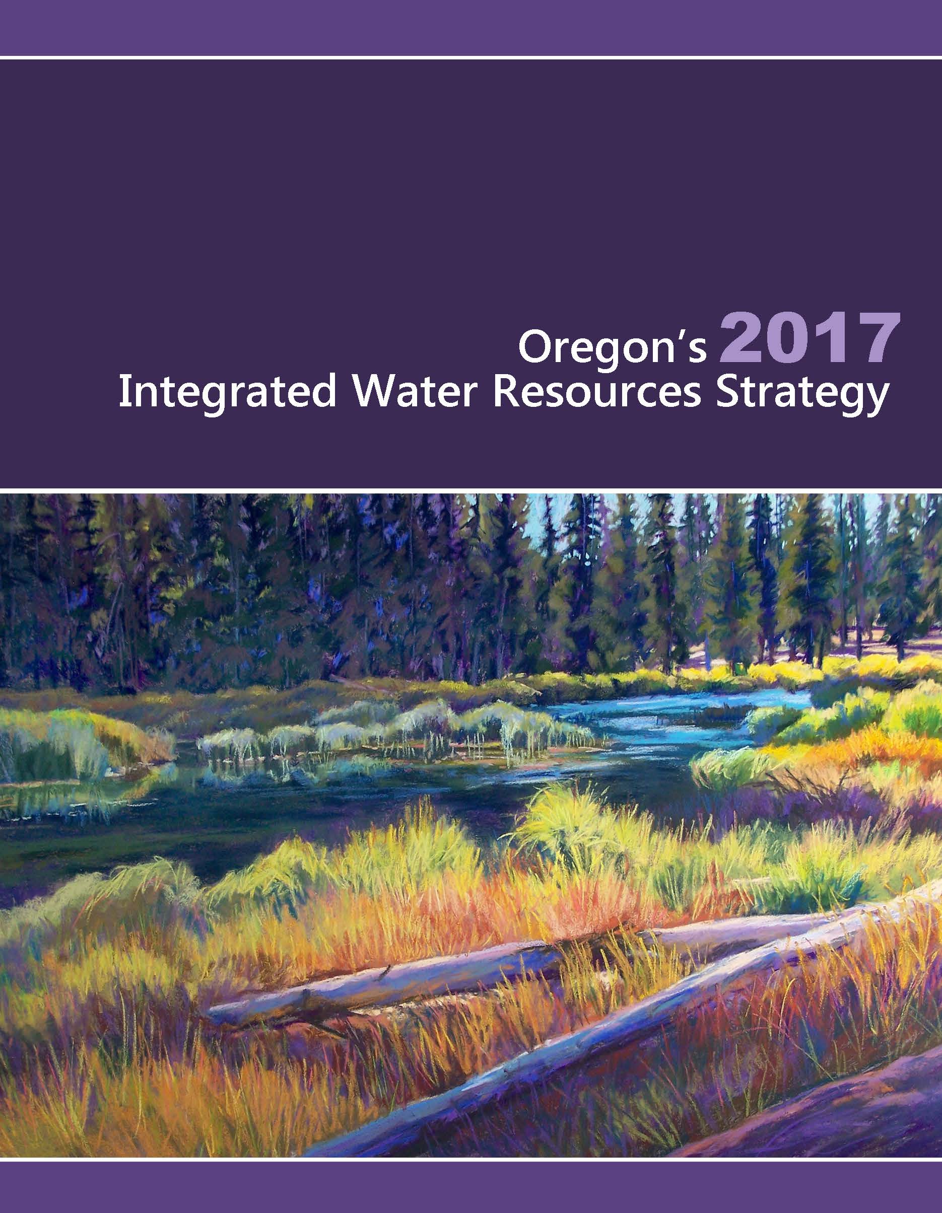 A photo of the cover page of the Integrated Water Resouces Strategy Publication