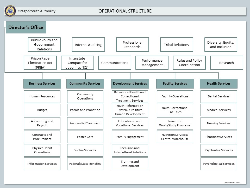OYA Operational Structure.jpg