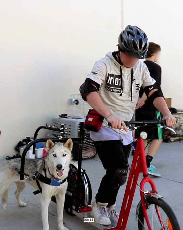 youth on bike with dog
