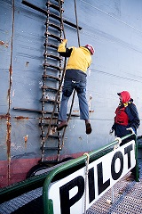 pilot climbing ladder to board a ship