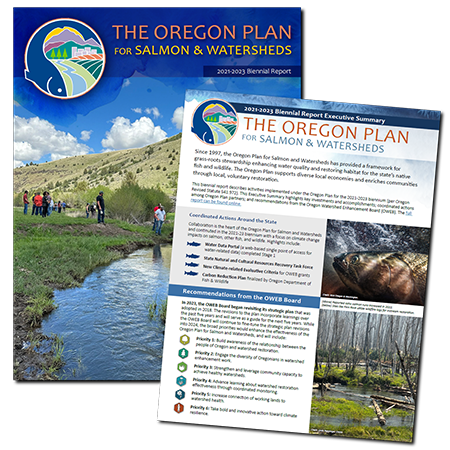 Image of the Oregon Plan for Salmon and Watersheds 2021-2023 full report and executive report