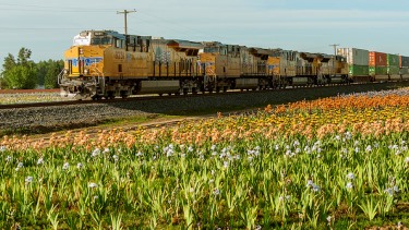 Union Pacific train travels through the Willamette Valley