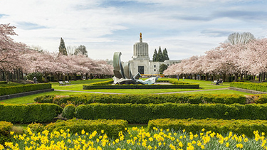 Photo of the Oregon State Capitol with spring flowers in bloom