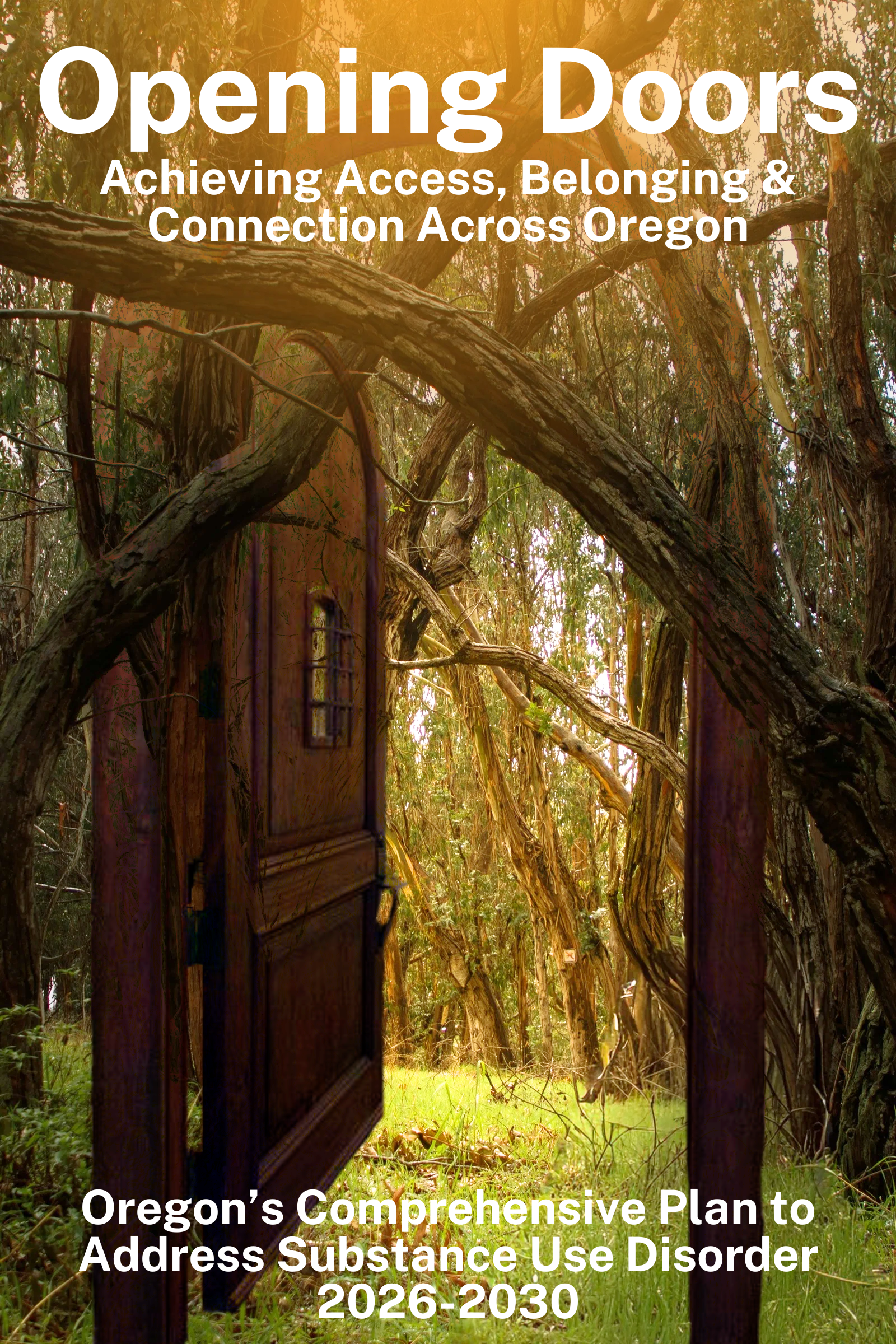 Draft Plan image2.jpg