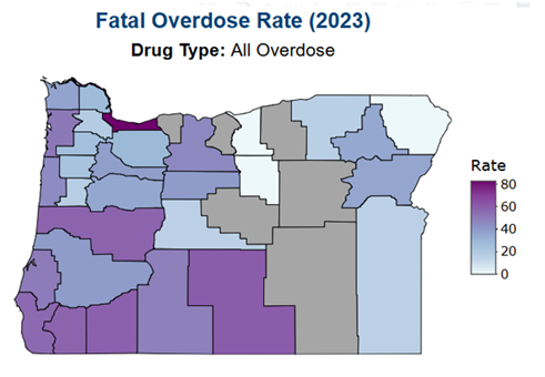 geographic disparities.png