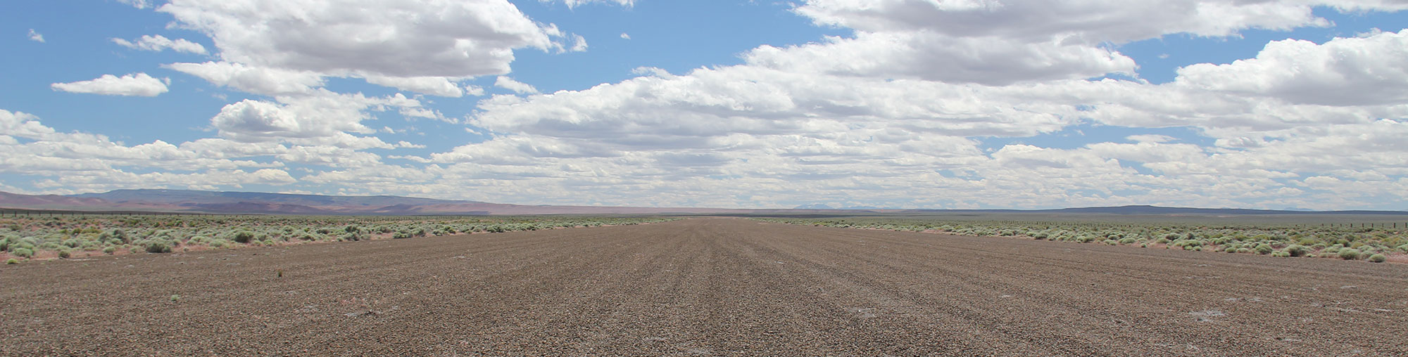 View of a plane on the runway