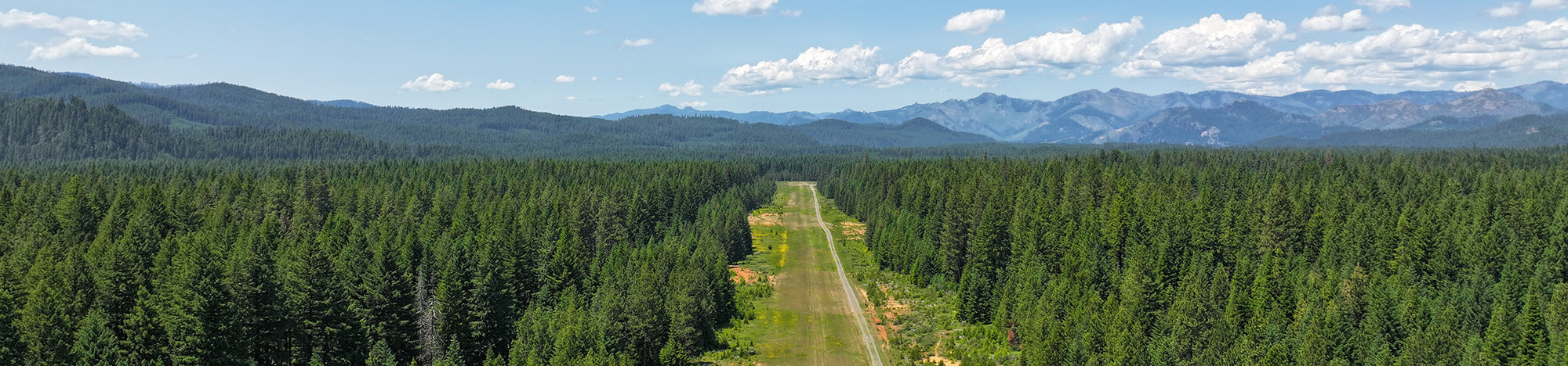 View of Toketee Airport
