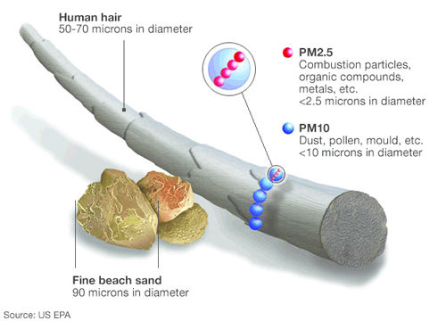 pm10, hair  and sand particals
