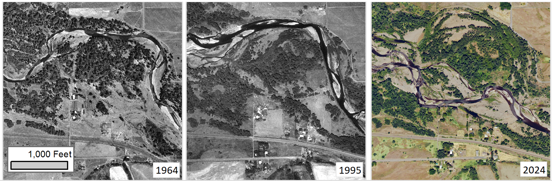 Three photographs of the same section of the Umatilla River taken in 1964, 1995, and 2024, respectively, illustrating channel migration