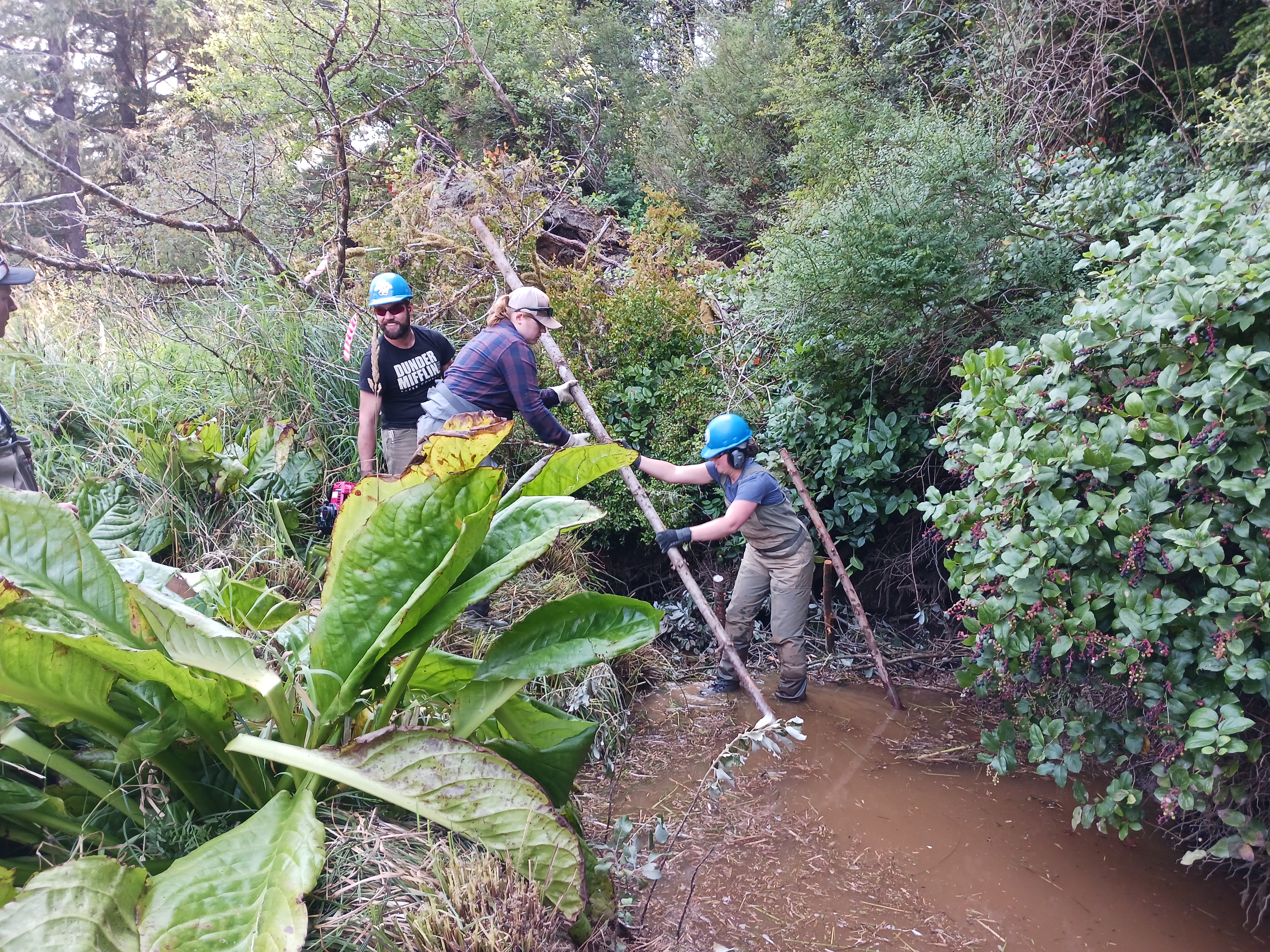 Group of people holding poles in mud
