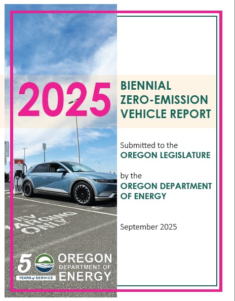 2023 BiZEV Cover.png