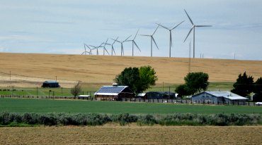 Field with Wind Turbines