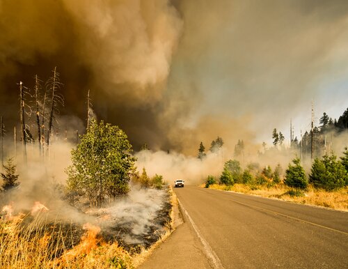 This is an image of a wildfire.