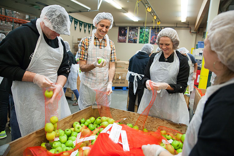 Volunteers sorting apples