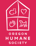 Screenshot 2025-12-04 122910.png