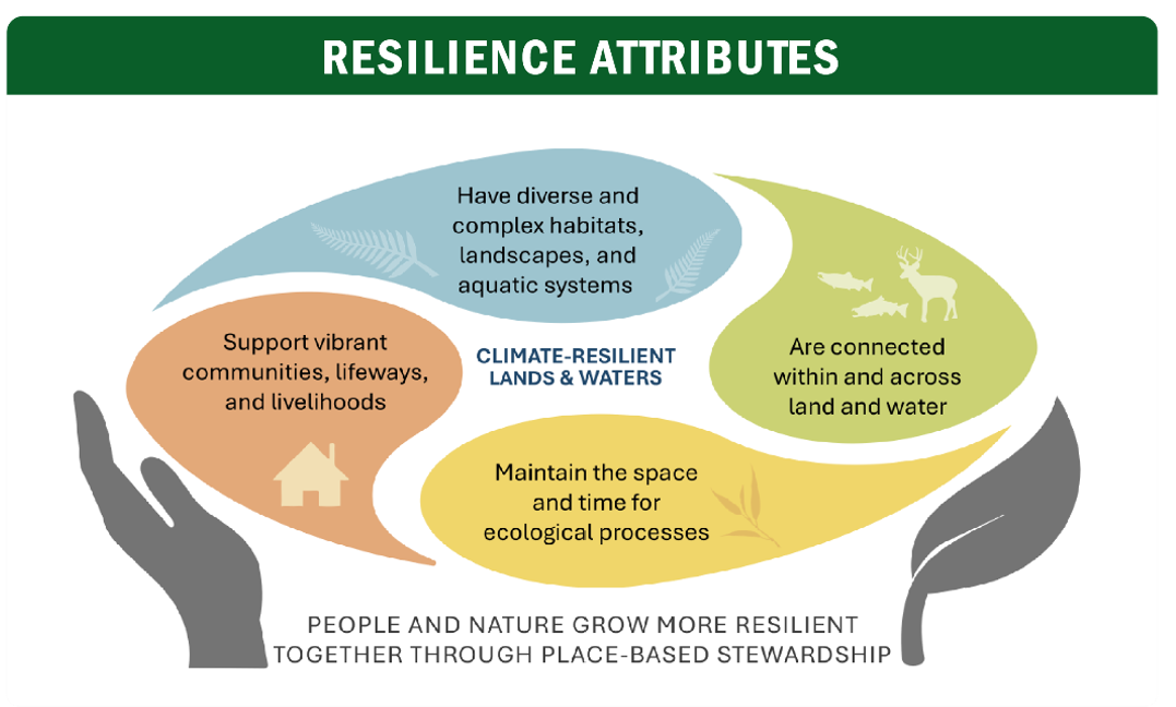 Reslience Attributes.png