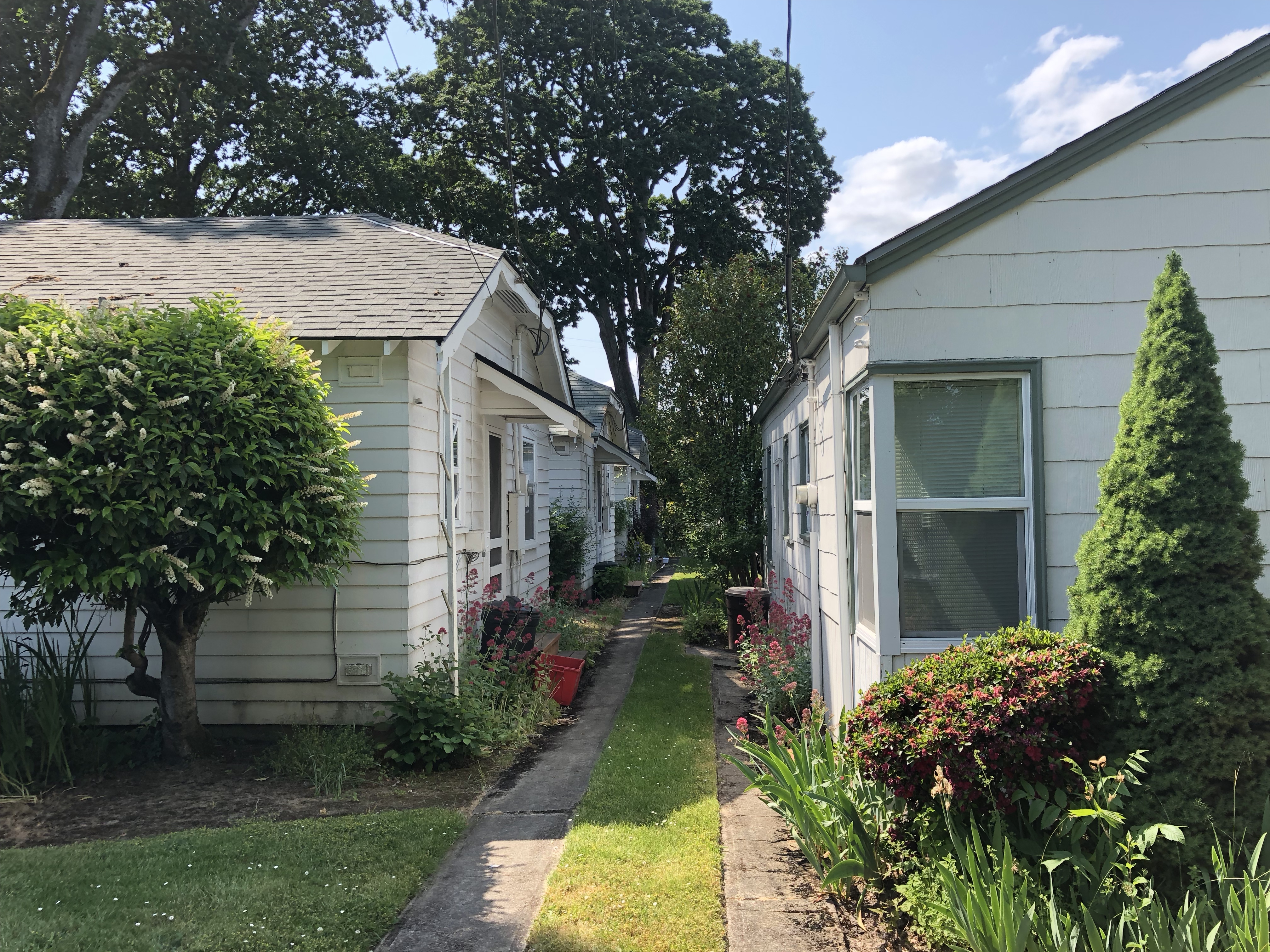 Cottage cluster rear 730 Cottage NE in Salem with walking path lined with flowers between units
