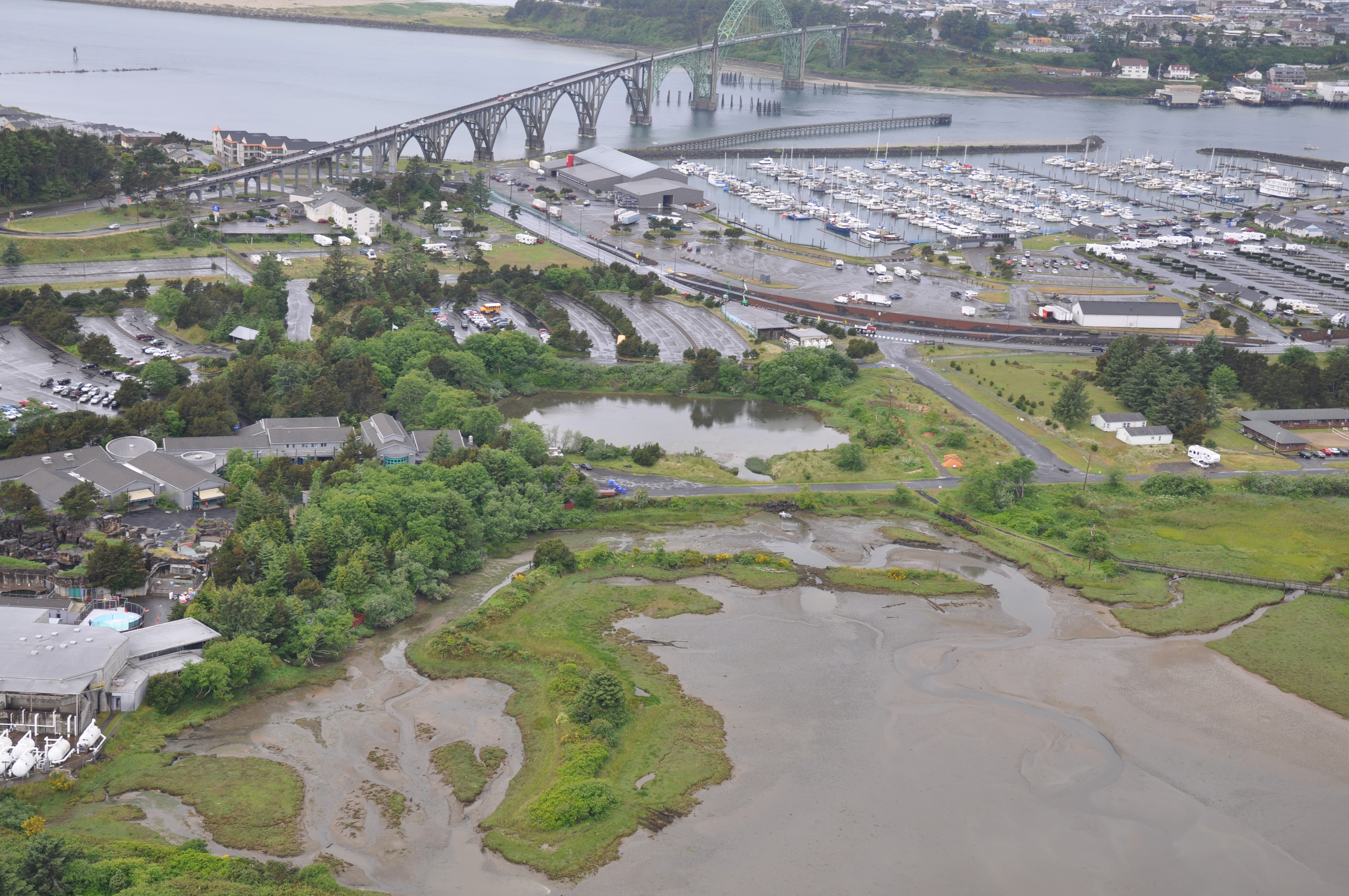 Aerial view of Yaquina Bay wetlands and marina, with a bridge crossing the bay