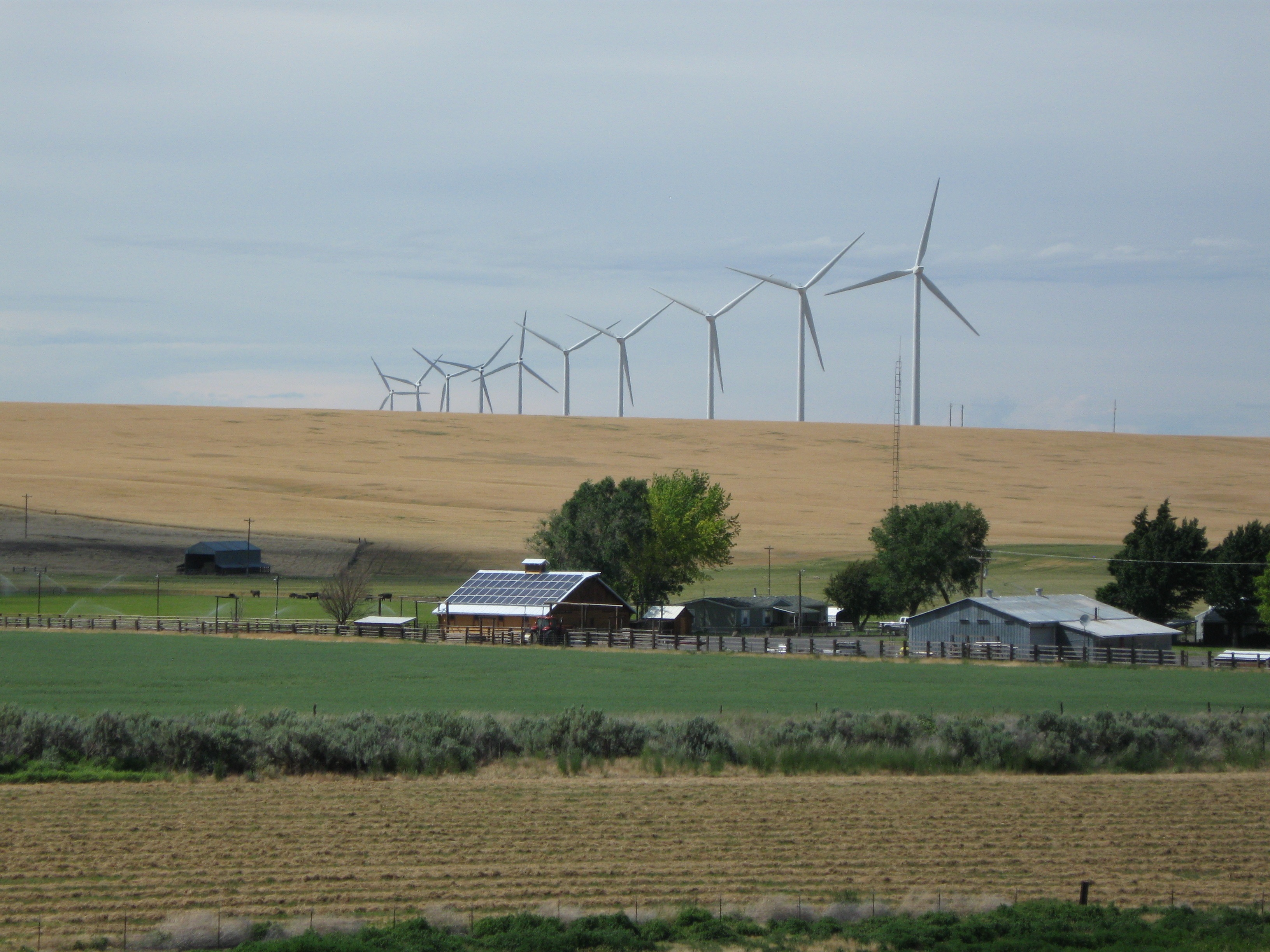 View across fields with wind turbines on a distant hill, and a farm house with solar panels on the roof.