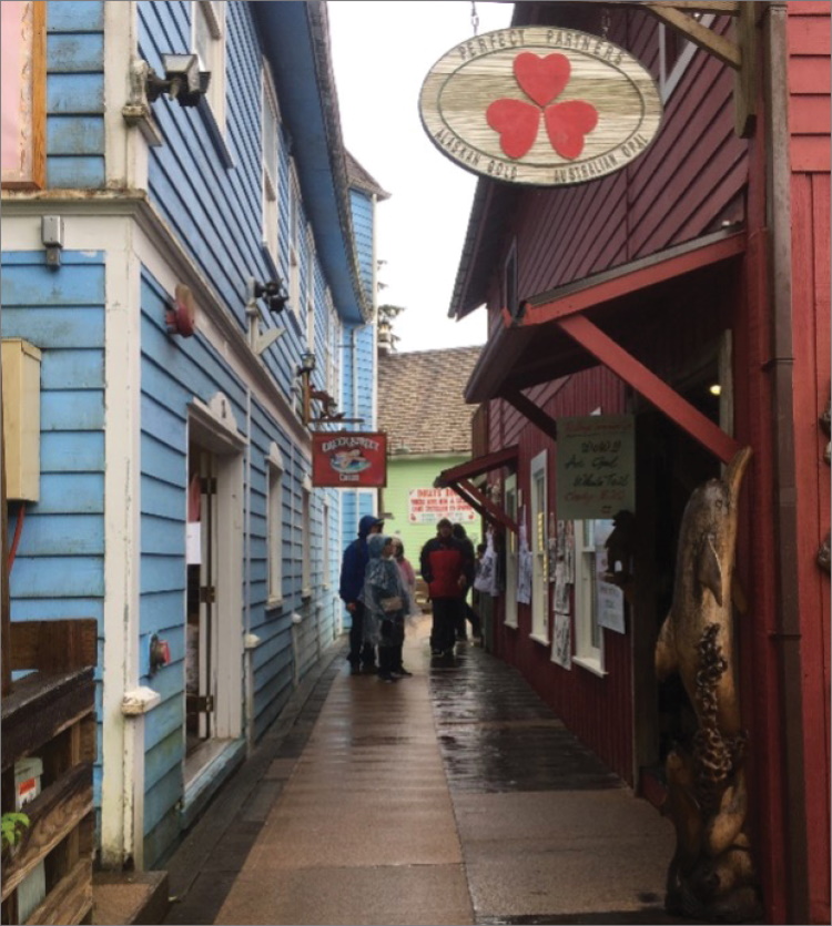 People stand in narrow alley between storefronts