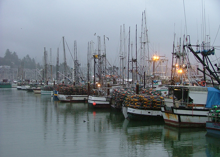 Crabbing boats line up in a dock.