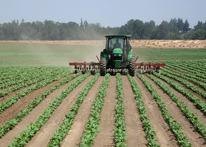 A cultivator is pulled along farmland