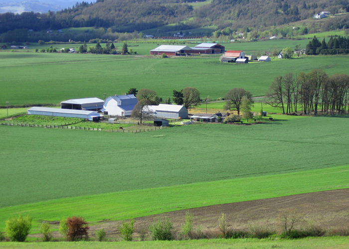 Farm with green field