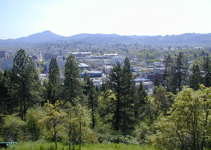 A city is surrounded by forest and greenspace.