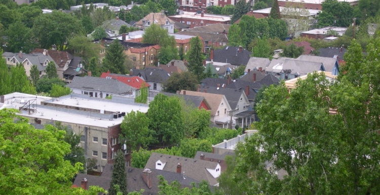 Aerial of housing types among trees