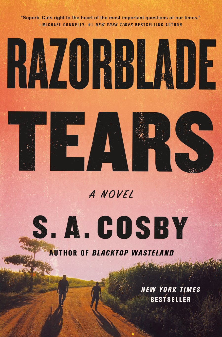 Book Cover for Razorblade Tears, two people walking on a road into an orange sunrise.